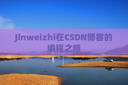 Jinweizhi在CSDN博客的编程之旅